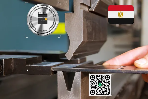Export Bending Tools for Press Brake Machine to Egypt